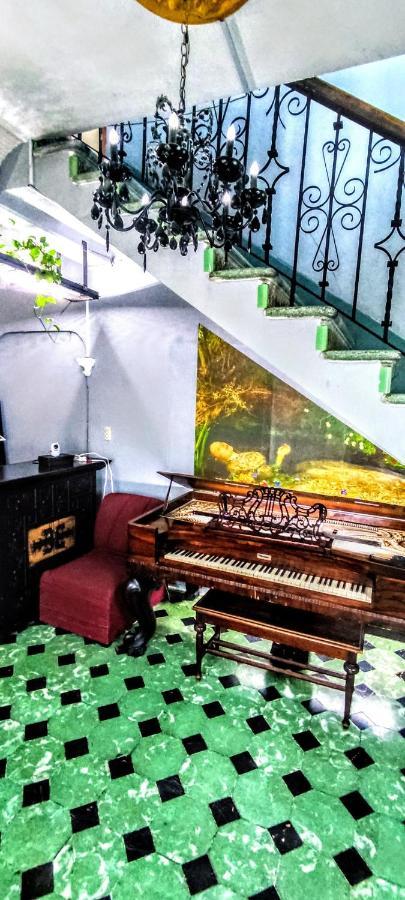 La Decima Guest House Τσιχουάχουα Εξωτερικό φωτογραφία
